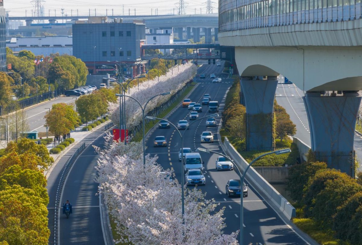 InsightNingbo's tweet photo. #Ningbo's streets are bursting into bloom like living poetry! With over 30 floral avenues now in full bloom, the city has become a romantic springtime gallery, inviting you to wander under flower-filled skies and bask in the season's charm. #SpringInNingbo https://t.co/kmnivA4wPH