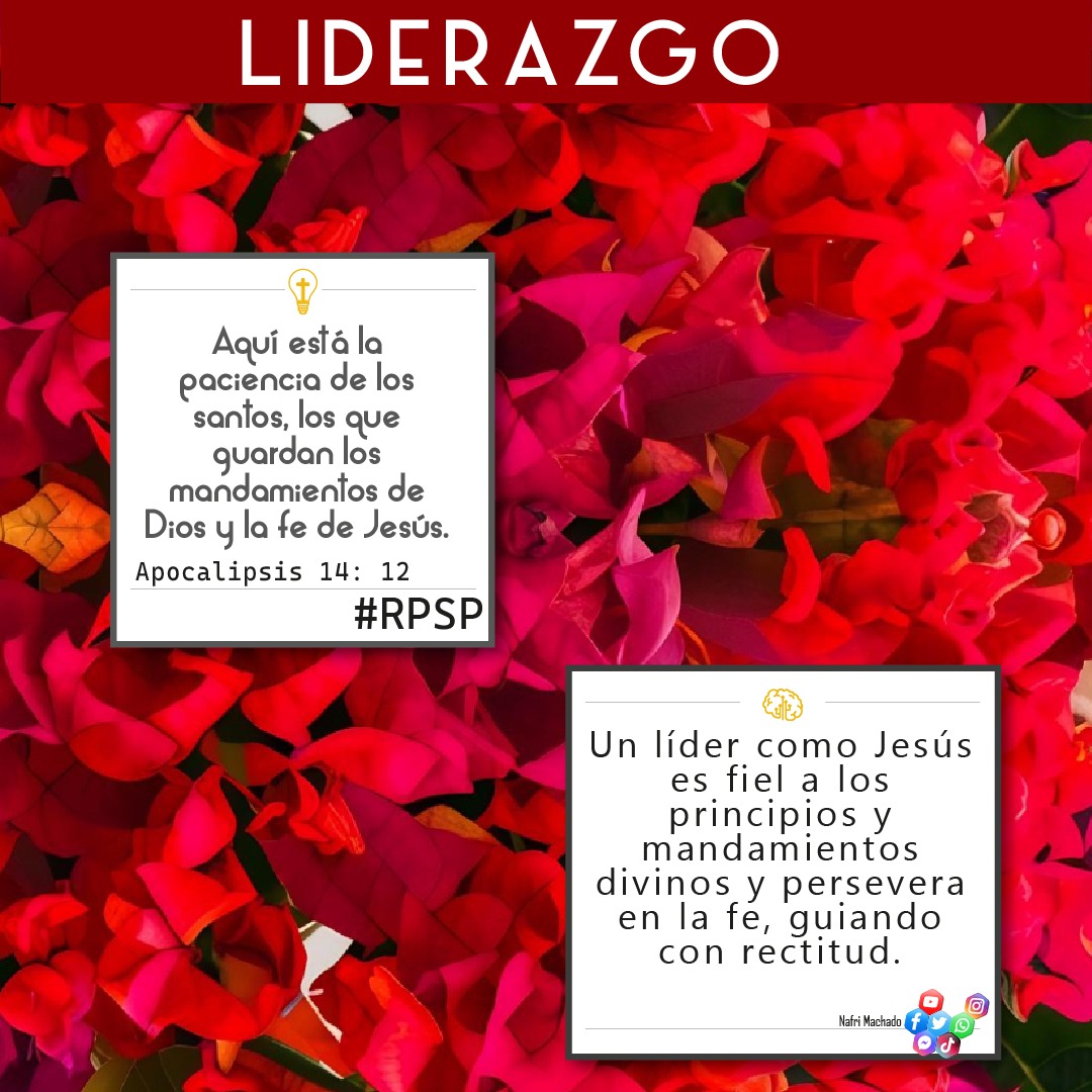 📖Apocalipsis 14: 12 Aquí está la paciencia de los santos, los que guardan los mandamientos de Dios y la fe de Jesús.✝
🤔Un líder como Jesús es fiel a los principios y mandamientos divinos y persevera en la fe, guiando con rectitud.🧠
👍🏻 DALE LIKE 
#liderazgo #RPSP #vnma