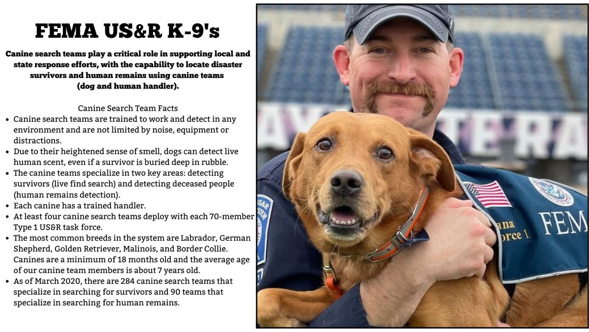 NATIONAL US&R SYSTEM (@nat_usar_news) on Twitter photo 