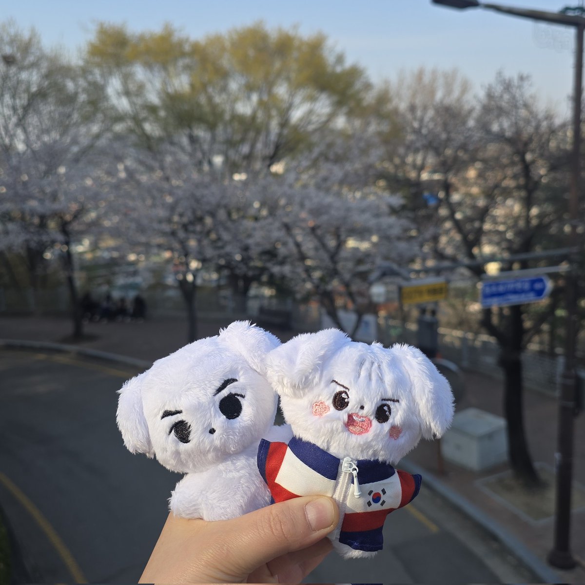 봄이 ...또 왔구나.. 🌸🌸