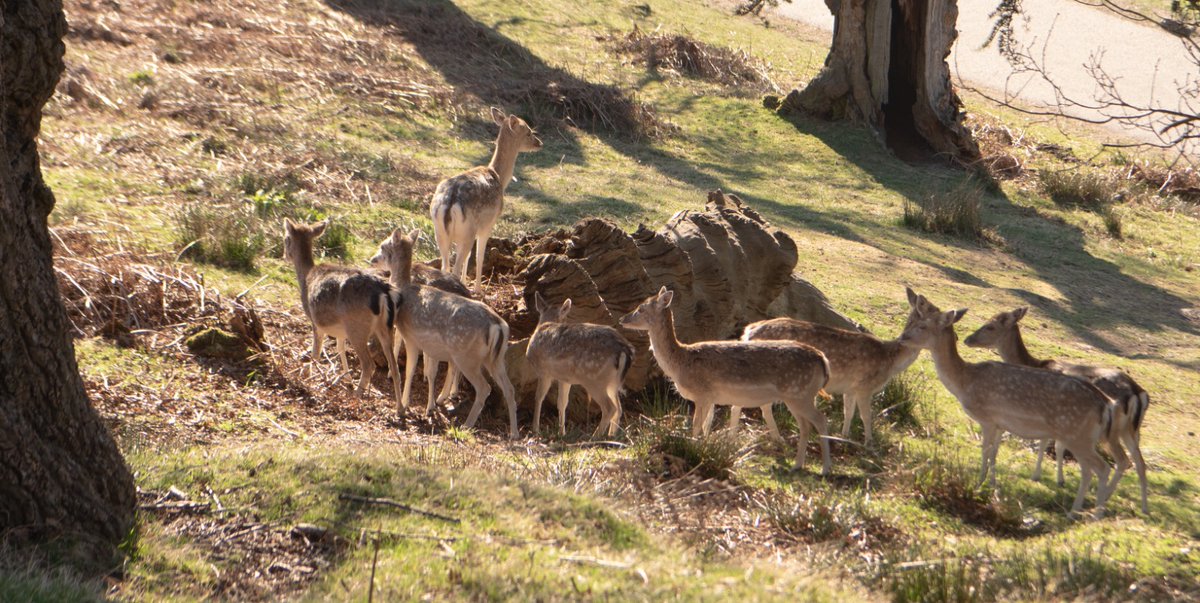 DiscoverCharnwood tweet media