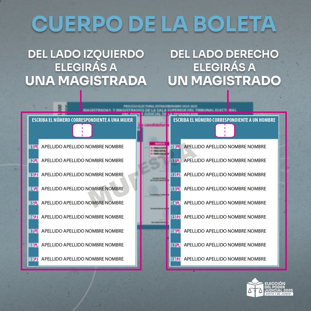 INEMexico's tweet photo. Para elegir a una Magistrada y un Magistrado de la Sala Superior del TEPJF:

✅ Ubica en la boleta los listados de candidaturas.
✅ Identifica el número de cada persona.
✅ Márcalo en el recuadro con dos dígitos.

¡Tu voto cuenta!

#VotaPoderJudicial2025mx https://t.co/b82CfFpOUr