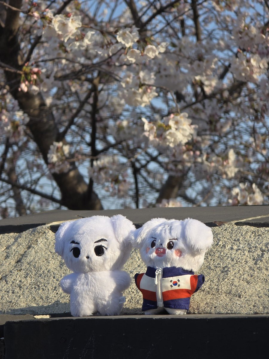 꽃보러 와서 한껏 신난 희도랑..백이진 같음