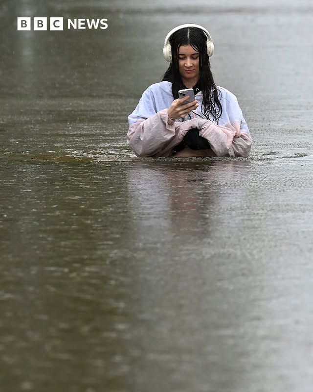 Peter Milne tweet media