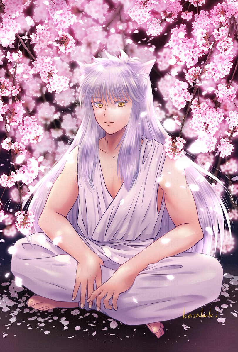 桜と妖狐様 2025🌸