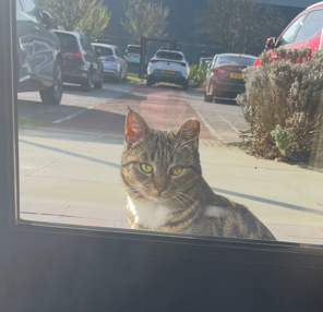 Proline Corp tweet media