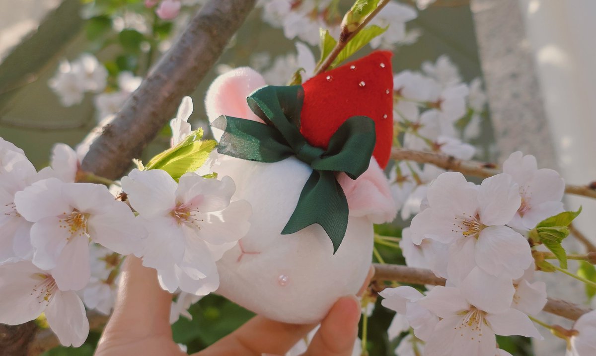 토끼모찌 레일 tweet media