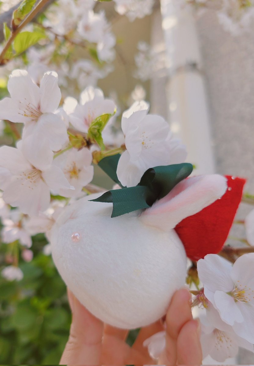 토끼모찌 레일 tweet media