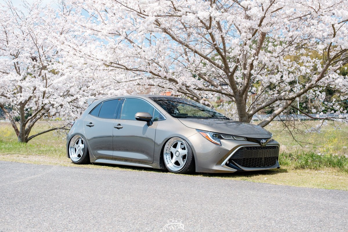 #桜と車