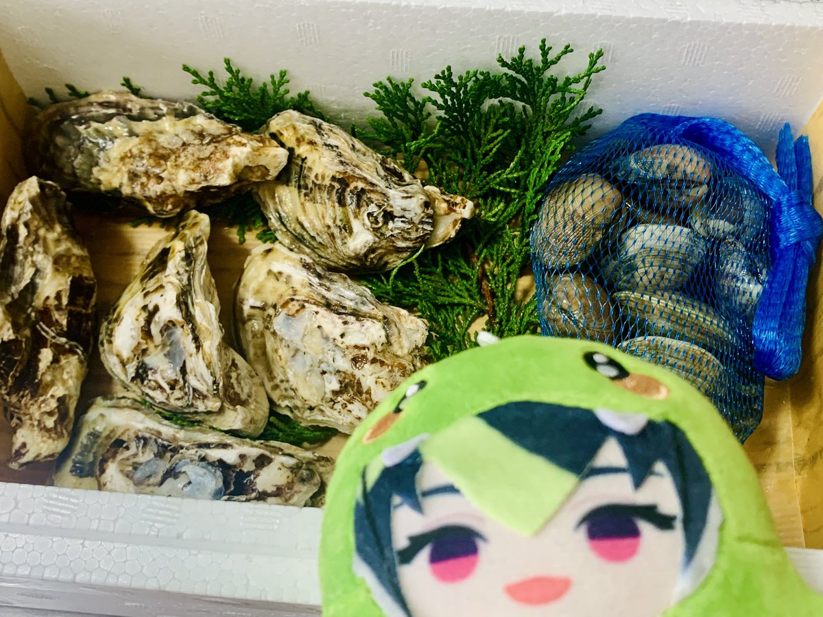 kusuico_'s tweet photo. シェフの貝どころさん(@chef_kaidokoro)の
プレゼントキャンペーンにて当選した伊波ライセットが届きました🎁🦪✨️
牡蠣もあさりも身がとても大きくてプリプリで絶品でした！！🤤
貝が大好物な家族もみんな大満足です！！✨️

 #シェフの貝どころ #にじさんじの貝どころ https://t.co/2k8ldMhOBI