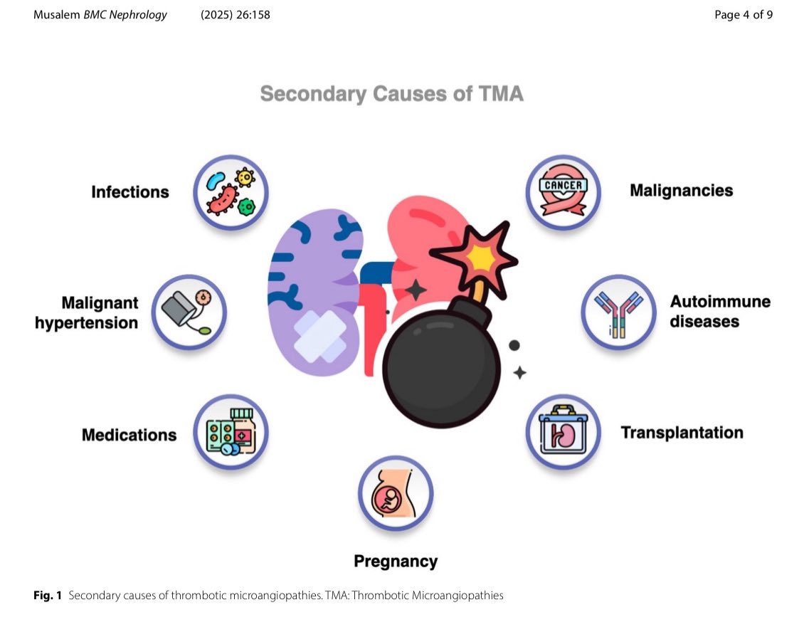 💣Secondary causes of thrombotic microangiopathies (#TMA) — from infections 🦠 to cancer, drugs 💊to pregnancy🤰 

Dive into this excellent 2025 review:
🔗 doi.org/10.1186/s12882… 🆓 

 #MedTwitter #Nephrology #aHUS #Transplant