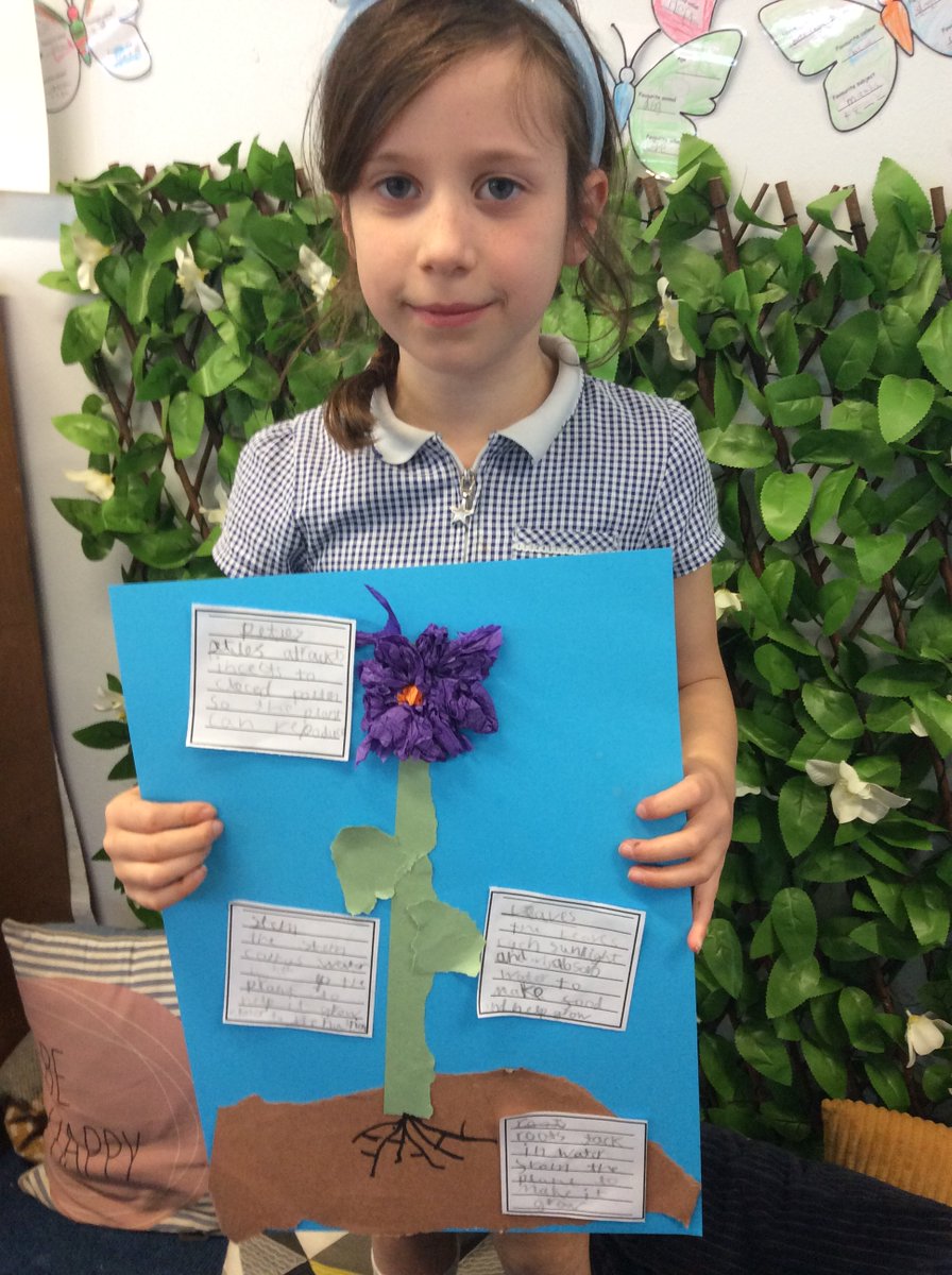 Kibworth CE Primary tweet media