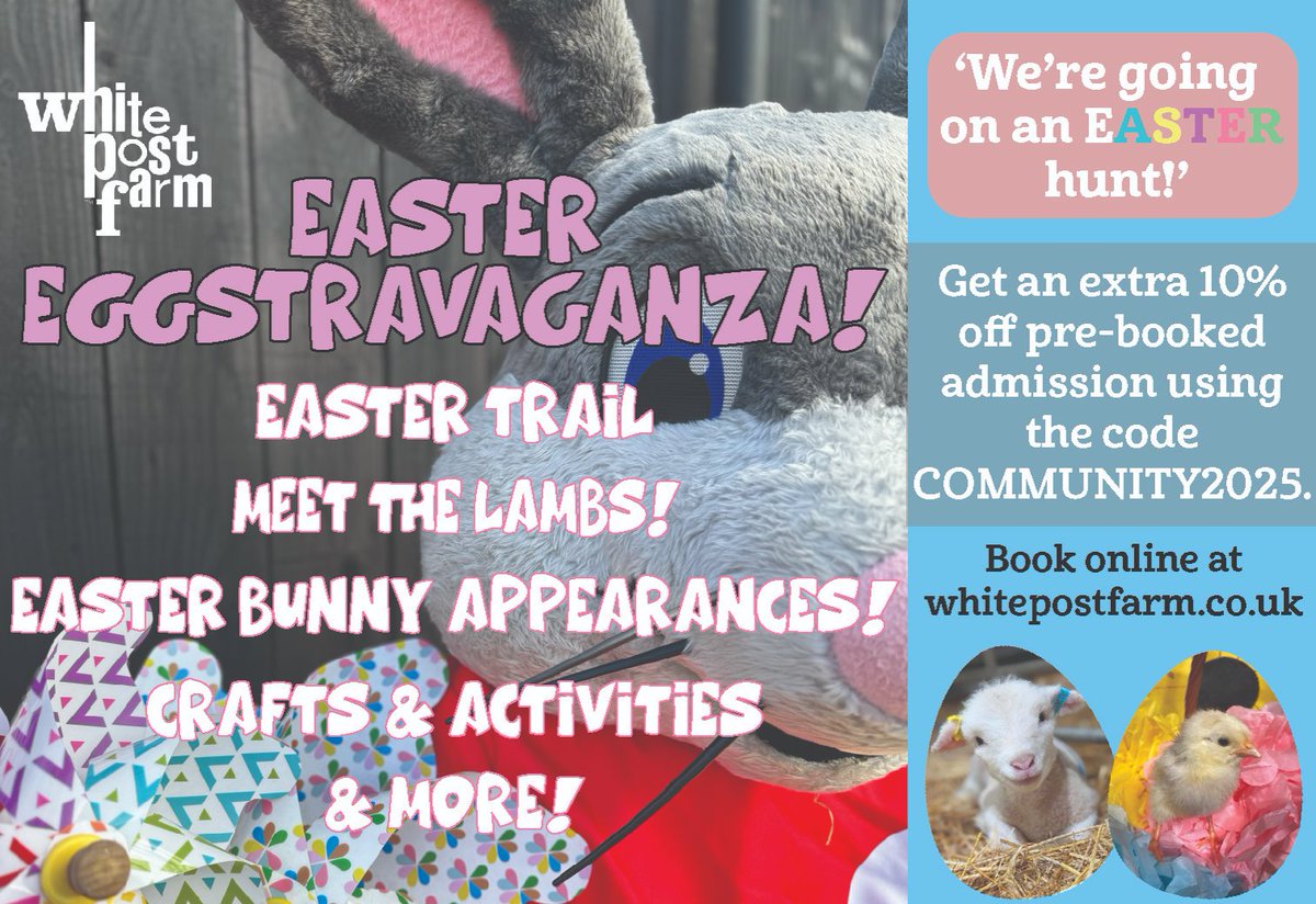 Update Magazine tweet media