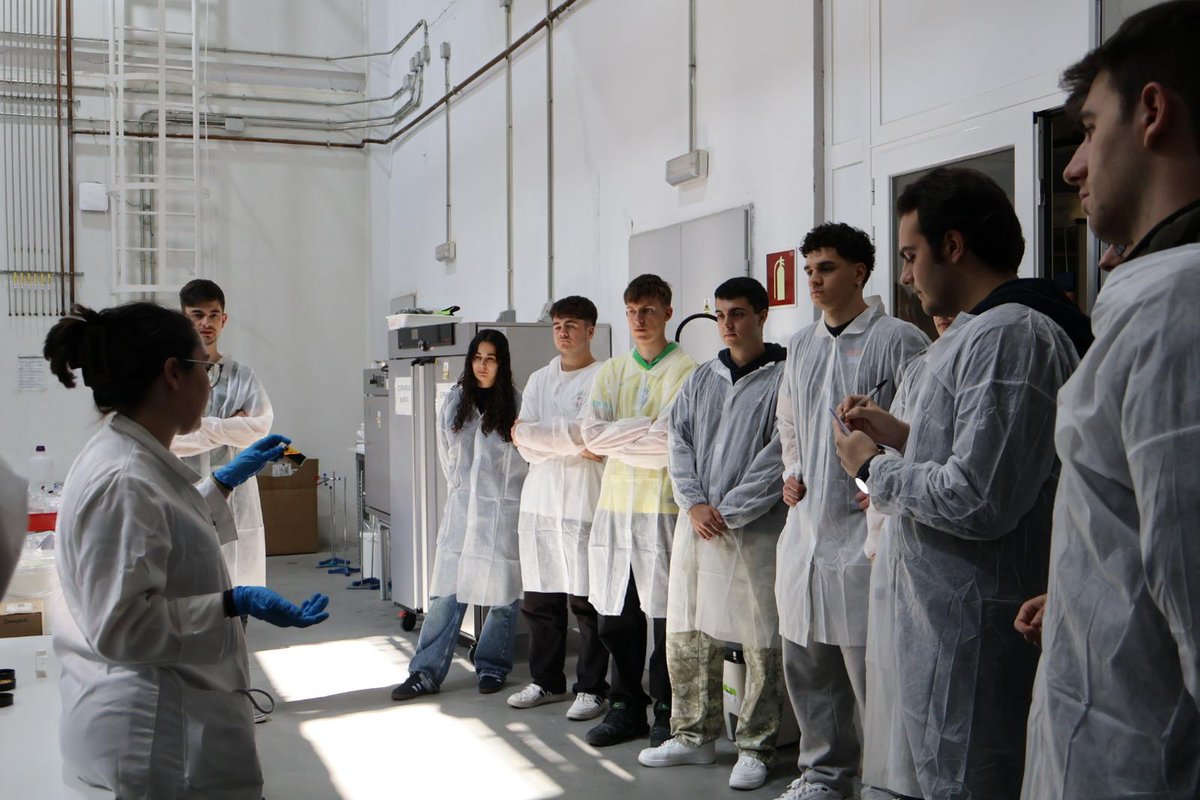 IMDEA Energia tweet media