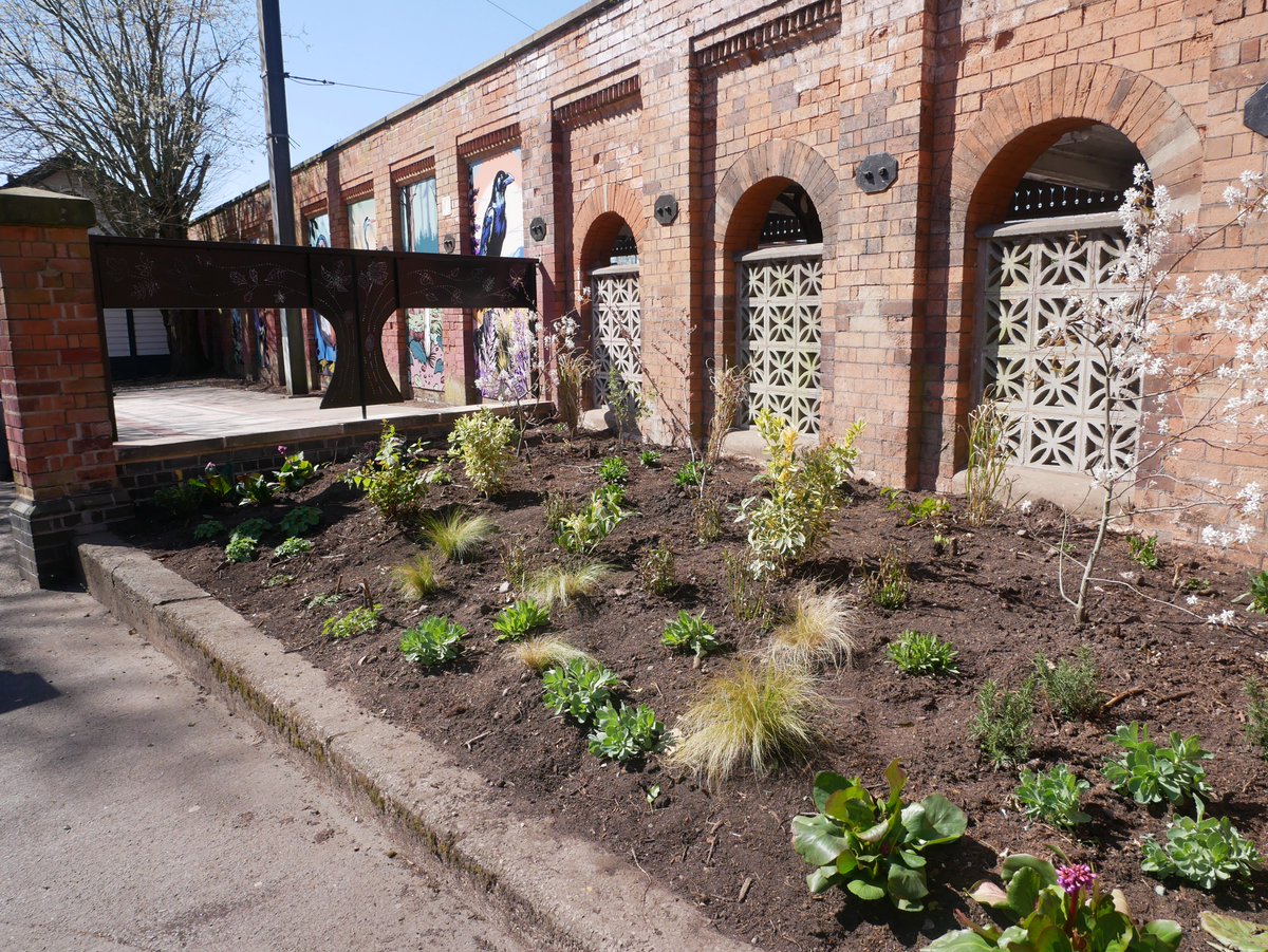 Royal SutCol TC tweet media