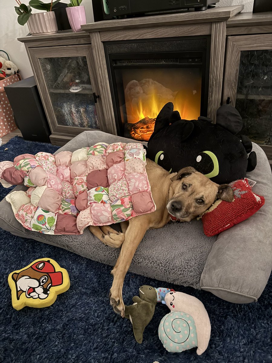 ba1leye's tweet photo. just want to be Nova when I grow up. A #toothless pillow from #EpicUniverse, all cozy with a handmade quilt made just for her, her (fake) fire that she insists is always on,  with her @bucees toy always near @UniversalORL https://t.co/LcRuJ7ok5W