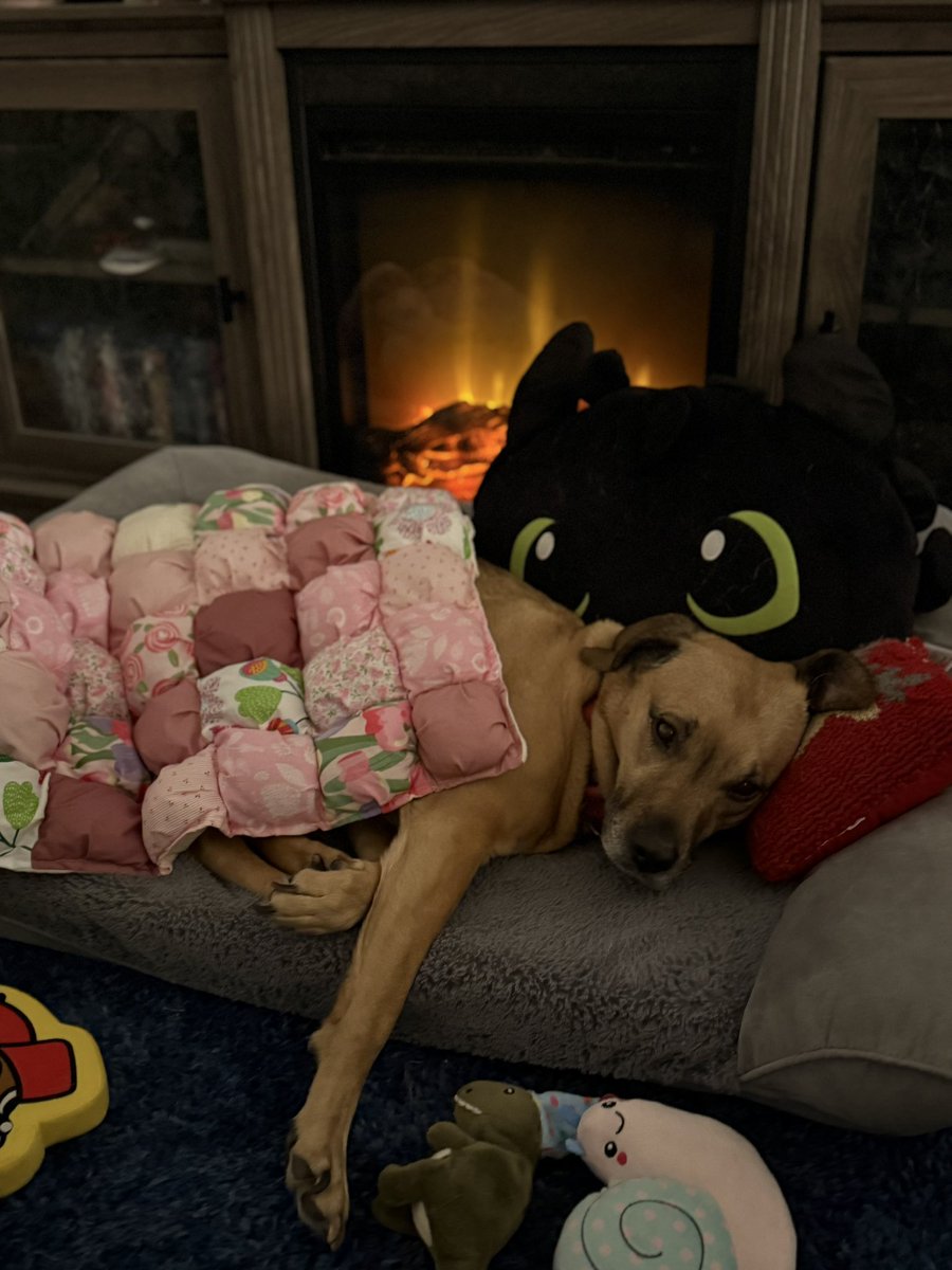 ba1leye's tweet photo. just want to be Nova when I grow up. A #toothless pillow from #EpicUniverse, all cozy with a handmade quilt made just for her, her (fake) fire that she insists is always on,  with her @bucees toy always near @UniversalORL https://t.co/LcRuJ7ok5W