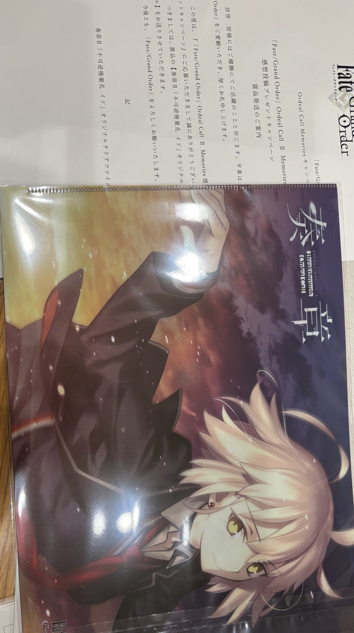 fgo 感想投稿 奏章Ⅱ 不可逆廃棄孔 クリアファイル FGO 奏章Ⅱ 不可逆廃棄孔 イド クリアファイル - メルカリ
