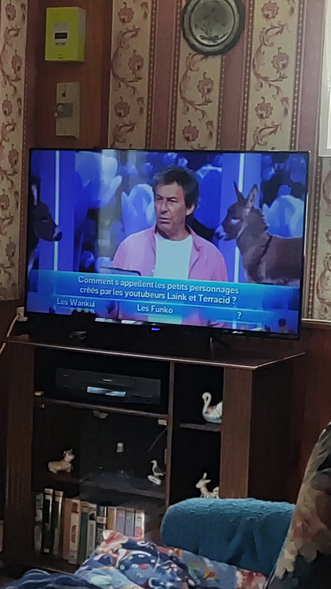 Lecharlo20's tweet photo. Et bah wankil ça passe même au @12Coups_tf1 😂😂 @laink @terracid @WankilStudio @WankulTCG https://t.co/fu44X9ImlH