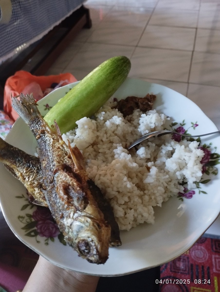 dianannicha's tweet photo. @FOODFESS2 Menu kampung 😂 ikan kecil timun Dan sambal terasi. Nasi nya dimasak pake hau 😂 https://t.co/qsBLkNU9OV
