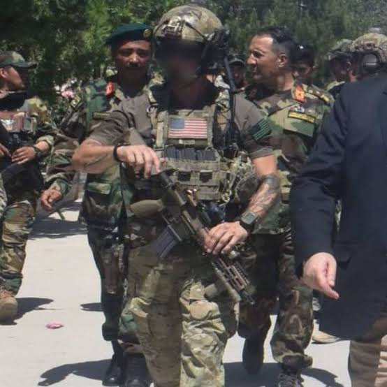 Growlor Media (COMMISSIONS FULL) tweet media