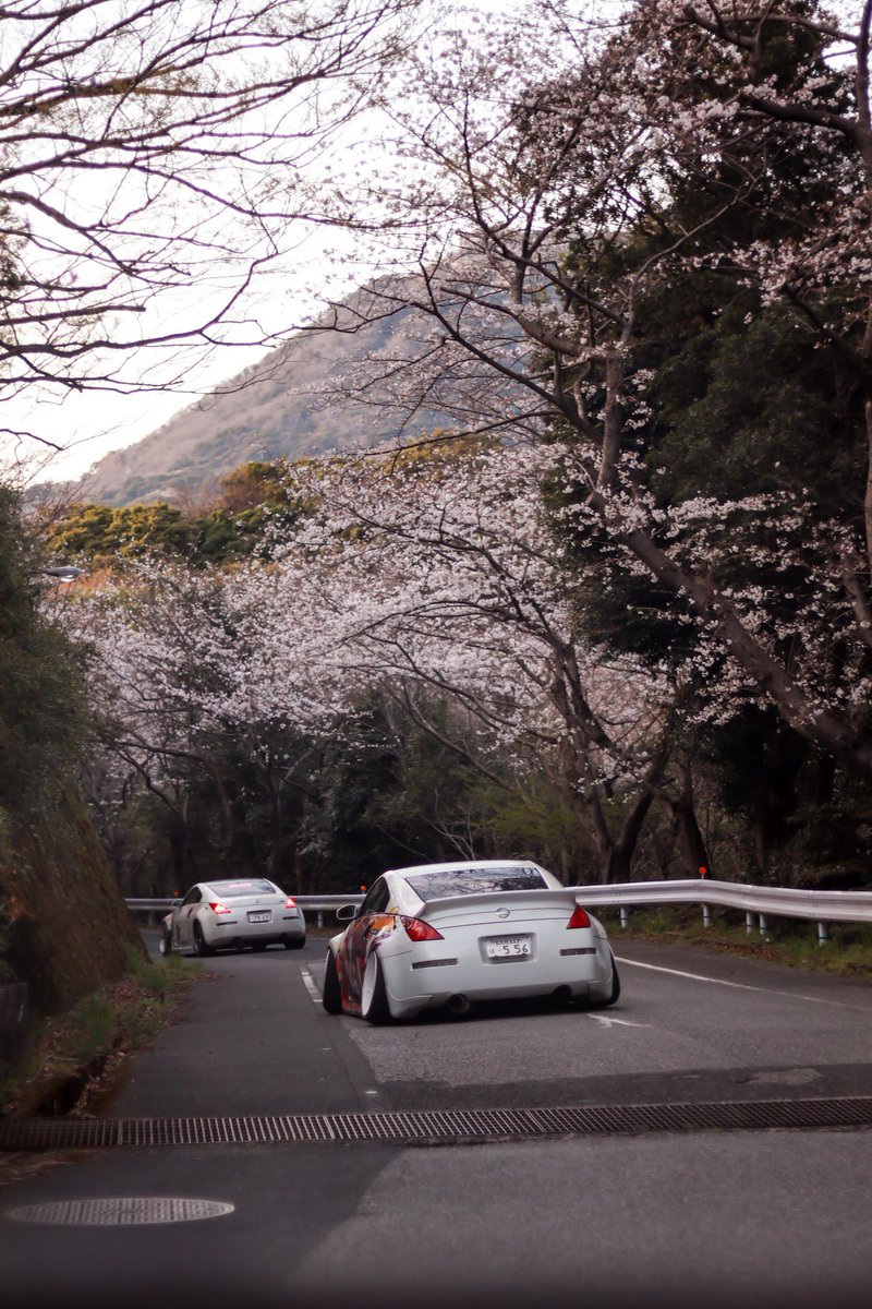 にゅ。 tweet media