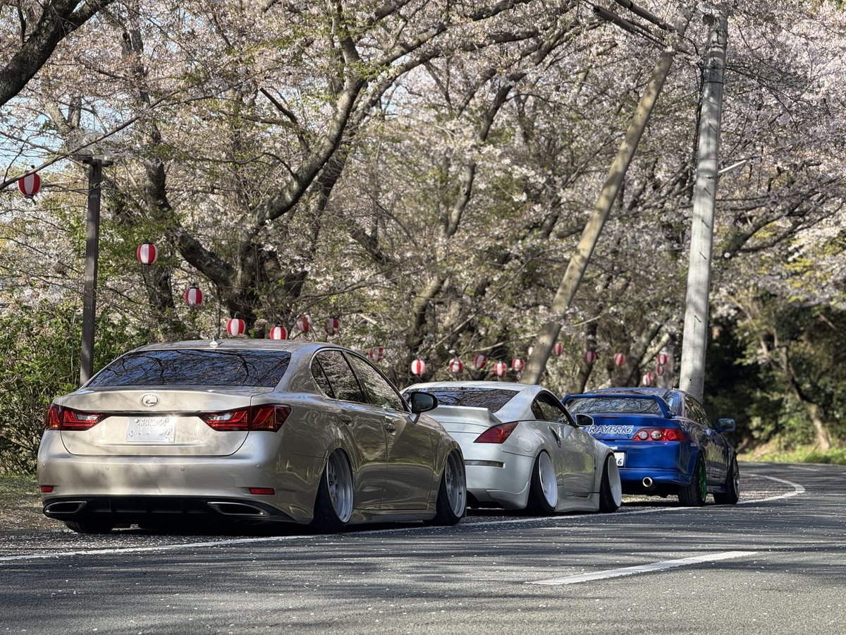 にゅ。 tweet media