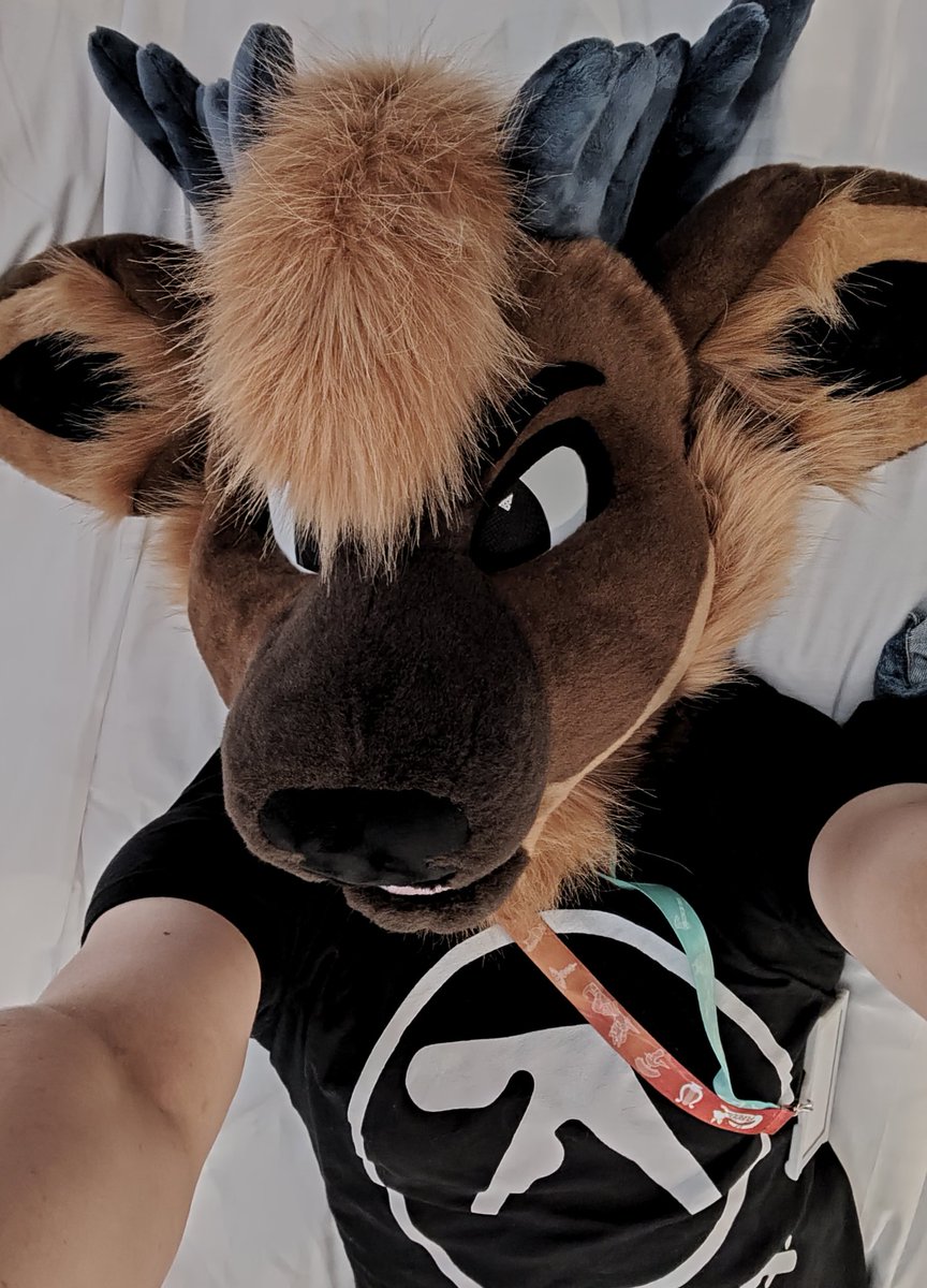 thanks everyone for a great #FurDU2025!
hopefully I'll be back again next year 🦌