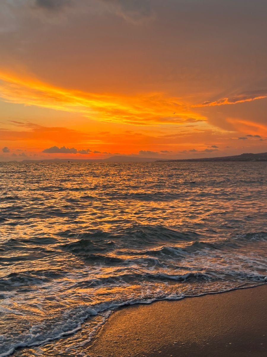 Do your best and then let life do the rest.
~ Robin Sharma