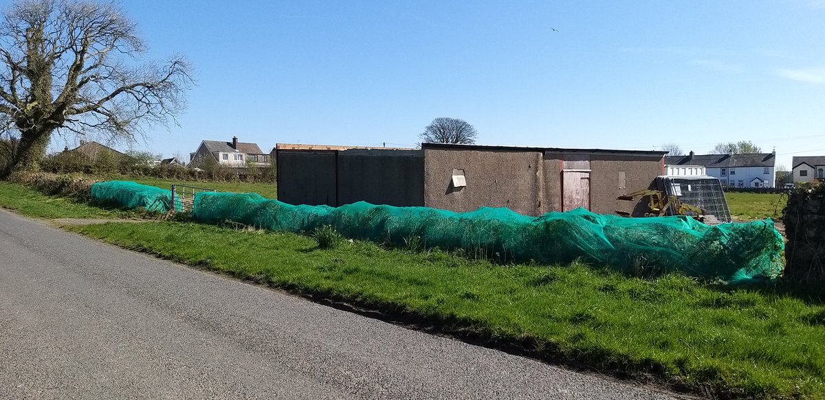 BardCumberland's tweet photo. Sad to see people still netting hedgerows at this time of year, given we know the harm it does to birds and mammals.
This is just along the road from me in Ulverston
///irritated.rising.pitchers
#NestsNotNets #wildlife #cumbria https://t.co/KFEES4Xoa2