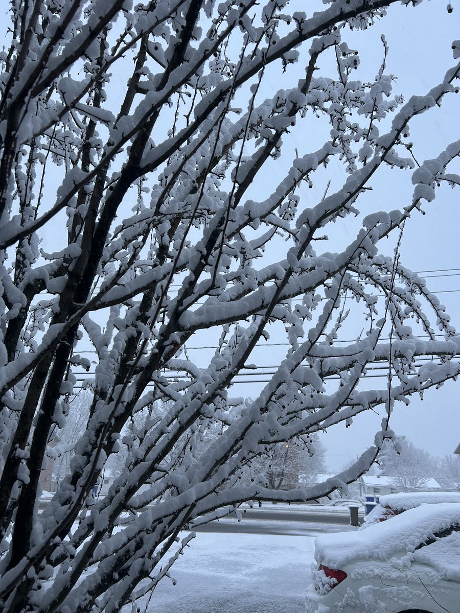 lushmylife613's tweet image. April 8th, 2025. 

Fuck right off ❄️ 

#Canadianproblems #gatineau #ottawa