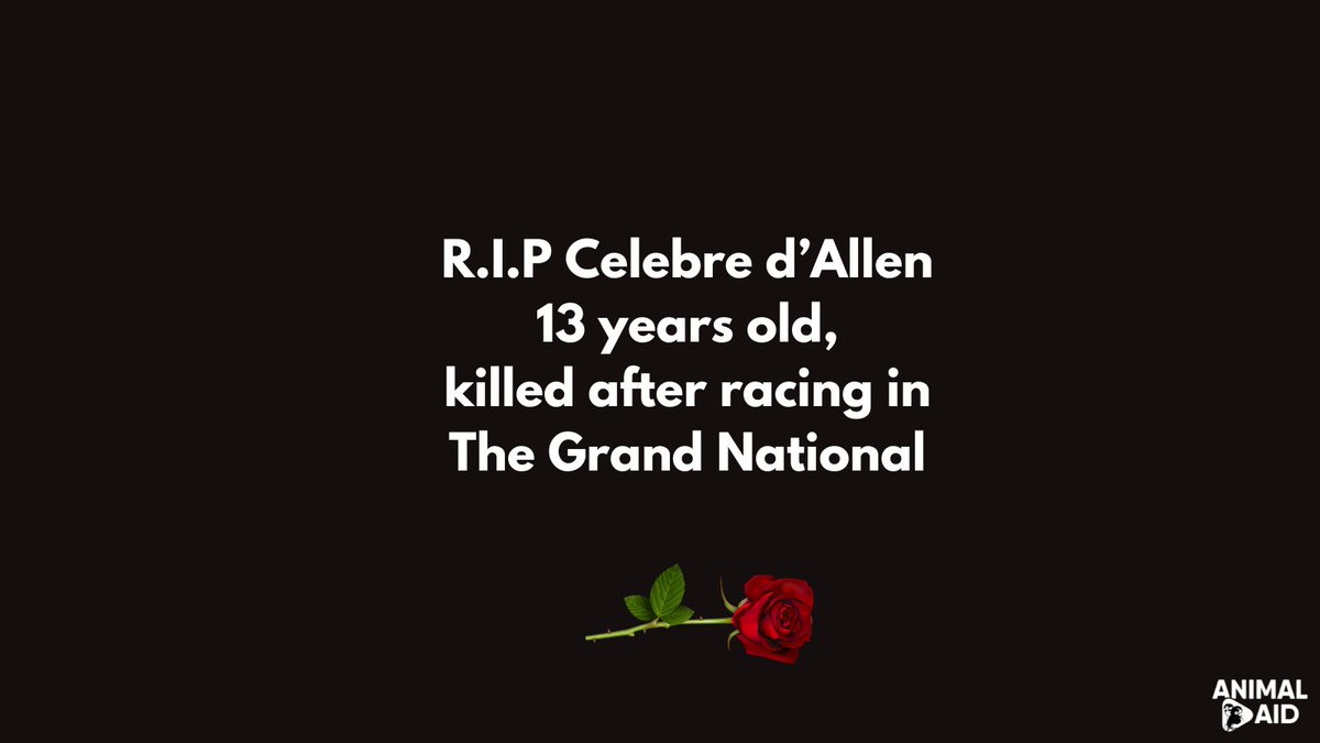 Animal Aid tweet media