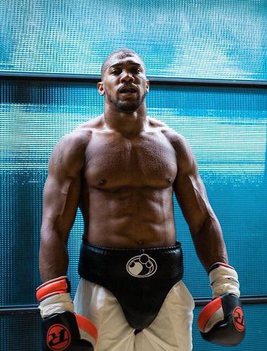Boxing Kingdom tweet media