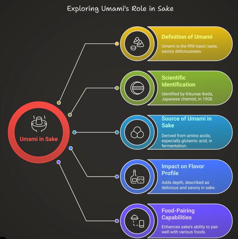 Japanaffinity's tweet image. Exploring Umami's Role in Sake:

* Definition,
* Identification,
* Source,
* Impact on Flavour,
* Food - Pairing Capabilities.

#sake #umami #visual #information #japan #nihonshu #japon #food #beverages @umamifun @umamifun_jp @umami_fun
