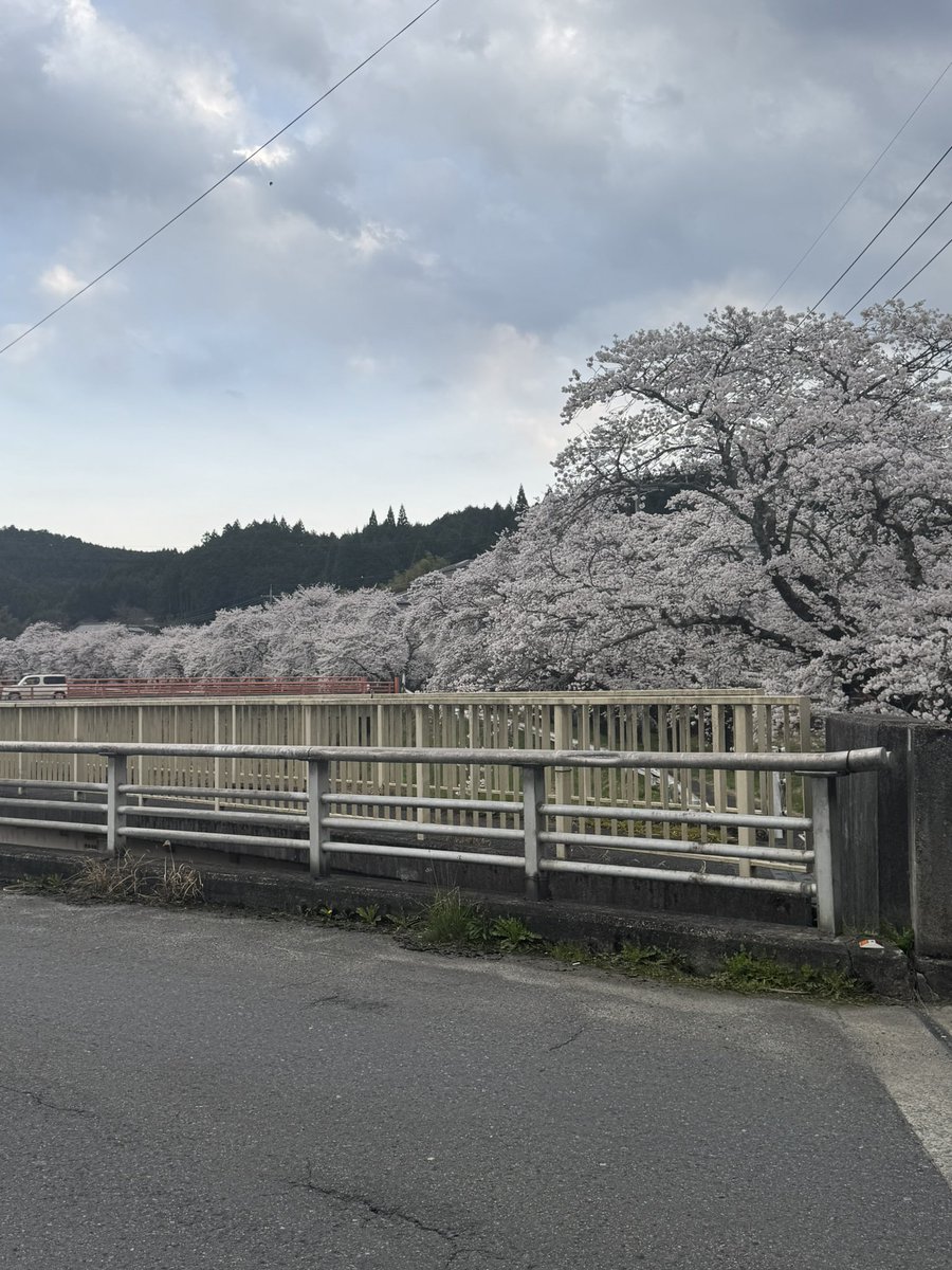 washeiq's tweet photo. 🌸🌸🌸 https://t.co/R7IJDwCUdk