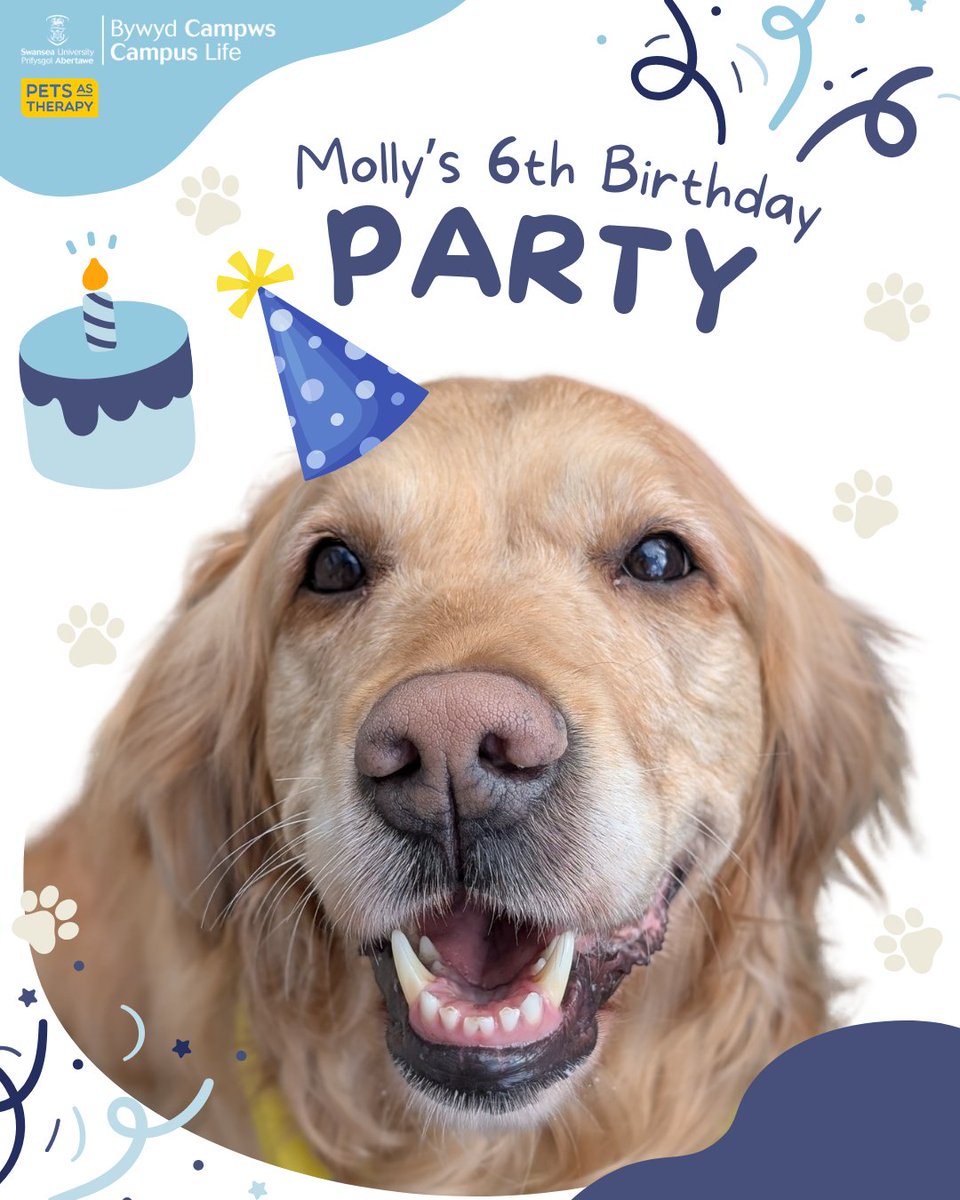 Join Molly on April 10th outside Fulton House to celebrate her 6th birthday! 🎉

Enjoy games, competitions, activities, and a short beach walk! Prizes to be won, and all donations go to Pets as Therapy charity.

The fun starts at 12pm - see you there! 🐕