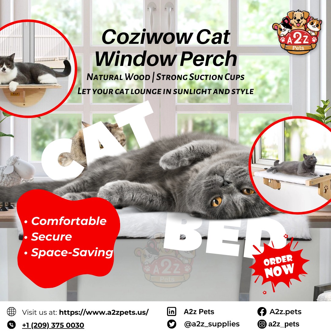 a2z_supplies's tweet photo. Sunbathe. Chill. Repeat.
Let your kitty enjoy the purr-fect window view with the Coziwow Cat Window Perch – sturdy, stylish & natural wood comfort!
Shop now at A2Z Pets and upgrade your cat’s lounging game.
#A2ZPets #Coziwow #CatWindowPerch #CatFurniture #PetComfort #HappyPets https://t.co/X2BHy846zv