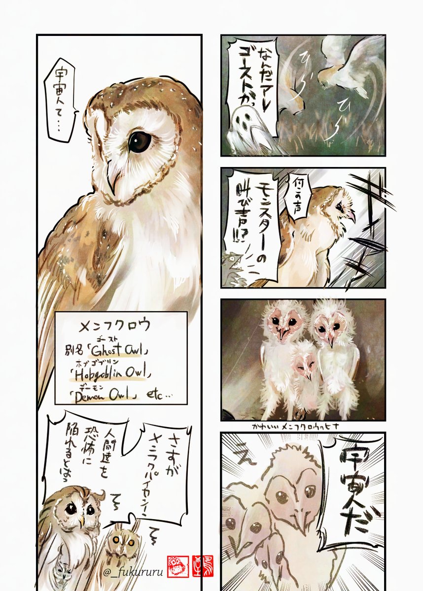 この一連のポスト全部興味深くて面白い…!
これこそ前言っていた巨大な蛾や首だけに見える妖怪はフクロウ、ギョロギョロ目玉の物の怪はオオコノハズクのヒナ、ゴーストや宇宙人はメンフクロウが正体では?っていうやつ🦉