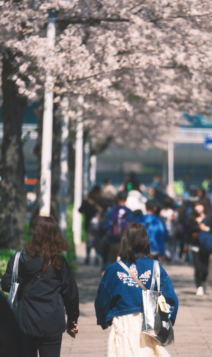 TomoyasuChida's tweet photo. やっぱりボリューミーなんだよなぁ、以前は🌸桜吹雪もすごかったし
#penflens
#olympus
#omsystem
#om_system
#om_systemアンバサダー
#olympuspenf
#OM3
#横浜
#みなとみらい https://t.co/Cd8ZOA8Wie