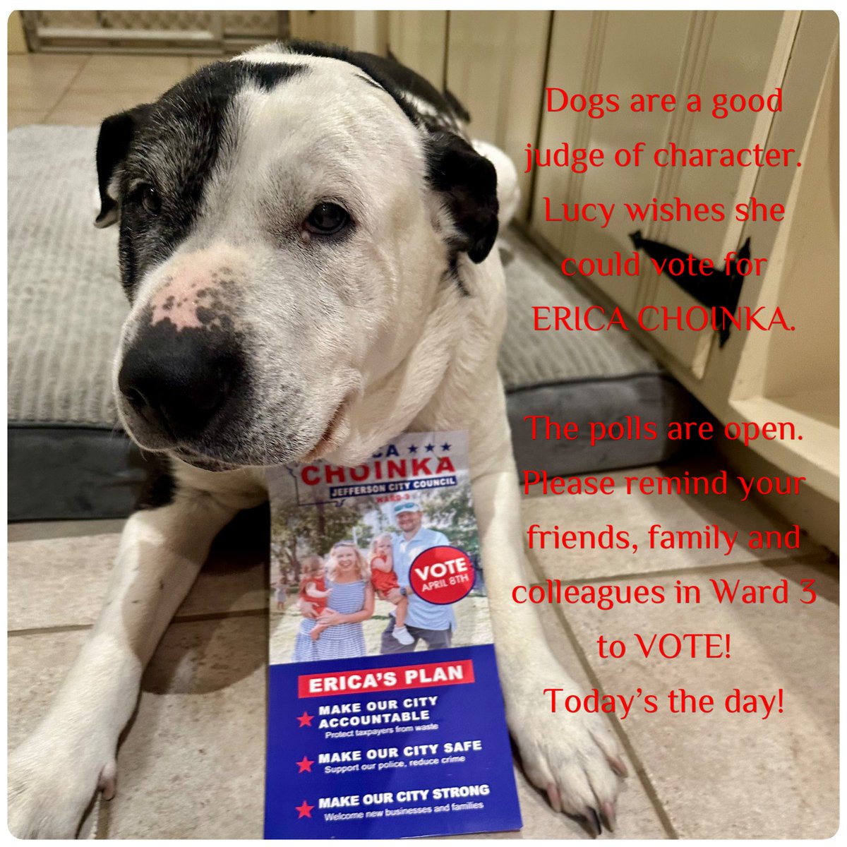 Pat Thomas tweet media