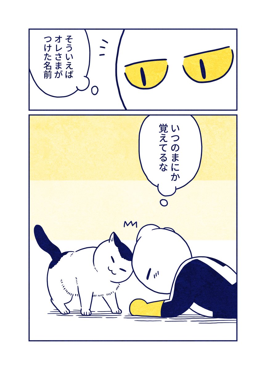(3/3) 