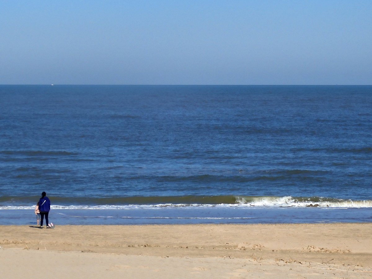 nori_reads's tweet image. Smooth sea today...   ☀️  #placeswelove  #NorthSea