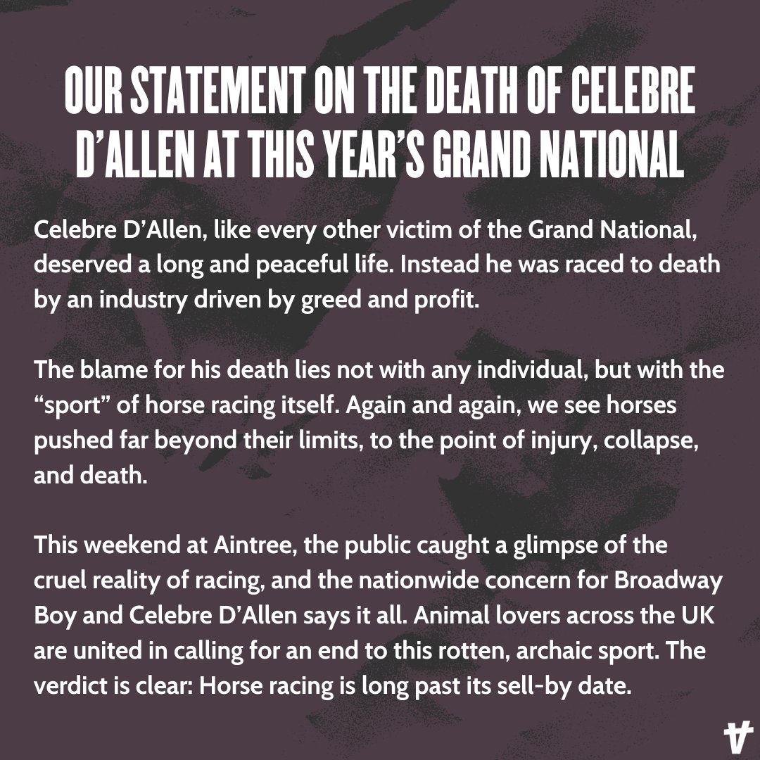 Animal Rising tweet media