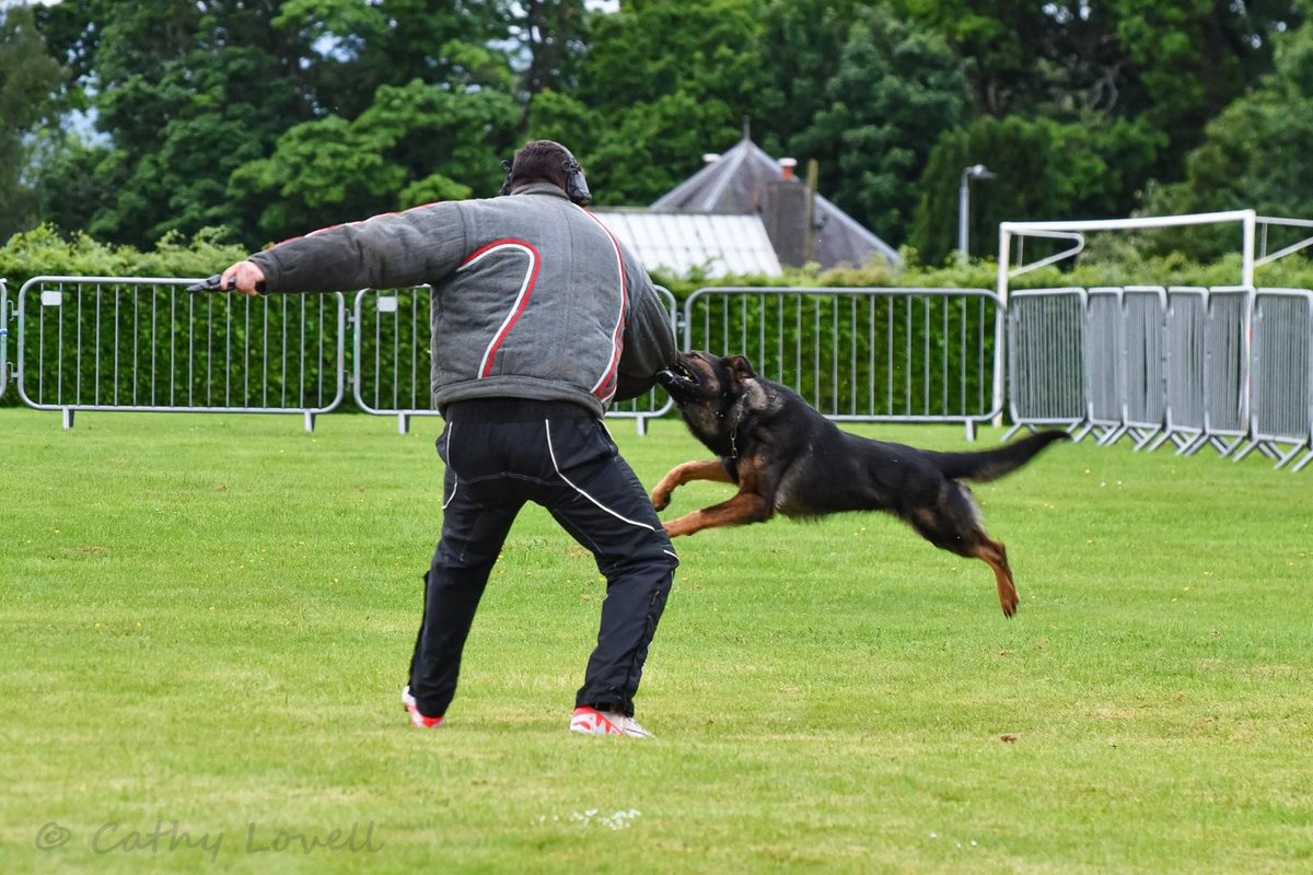 WMPDogs's tweet photo. We will also be hosting the National Police Dog Trials Community Open Day on Saturday 10 May that will be open to members of the public.

This will be a free event but tickets will be limited. Reserve yours here - https://t.co/BR0NbR5IkW https://t.co/xnxrGG2NtH
