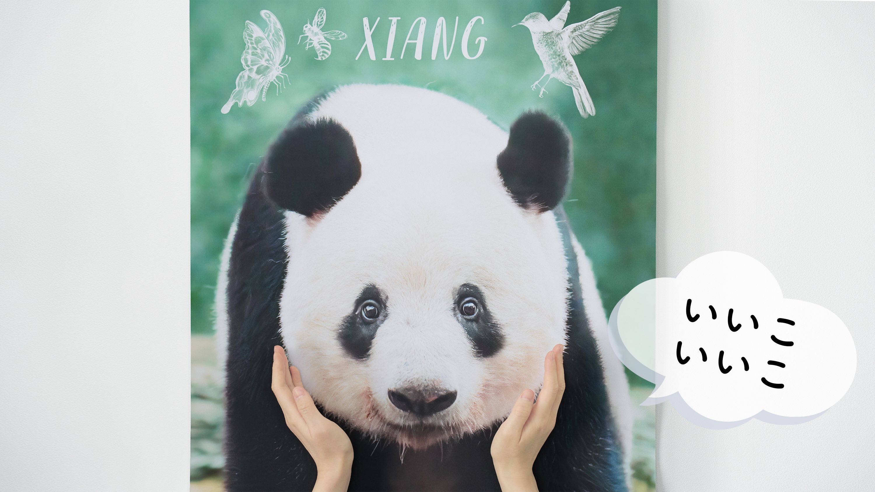 kuma.xiang (@kumaxiang) / X kuma.xiang (@kumaxiang) / X