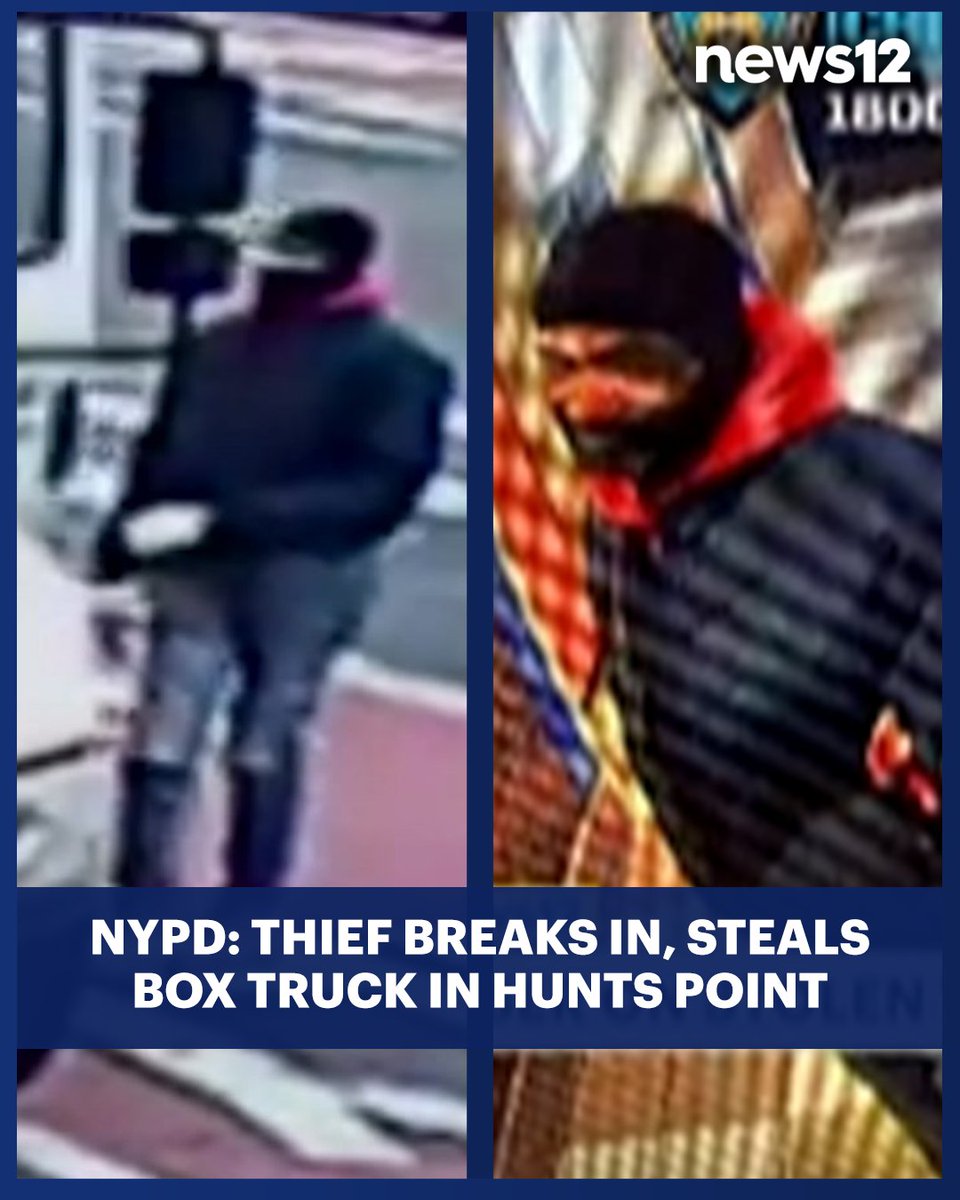 News12BX's tweet image. SUSPECT WANTED: Police are asking for the public’s help finding a person who stole a box truck in #HuntsPoint. - bit.ly/4cmq7et

#News12 #Bronx #NYC #crime