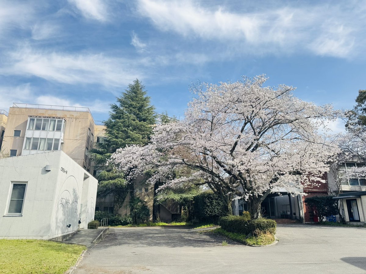 遅くなりましたが、新年度始まりました☺️
新一年生、ご入学おめでとうございます🎉