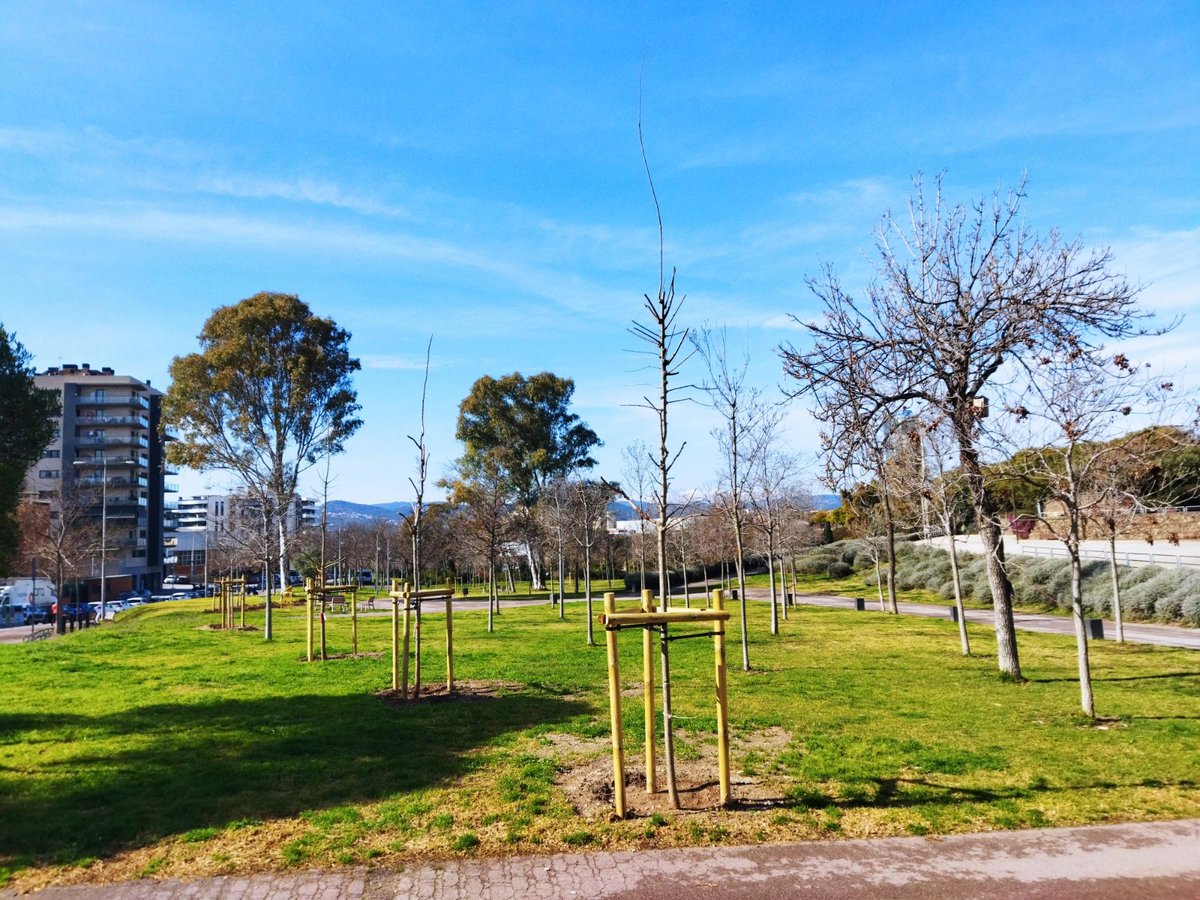 Us presentem l’equip de vegetació 🌿, que cuida els parcs metropolitans per mantenir-los verds, saludables i plens de biodiversitat 🌳🦋 

Amb una gestió sostenible ♻️ milloren els ecosistemes i converteixen els parcs en espais agradables i preparats per als reptes futurs 🌍😊