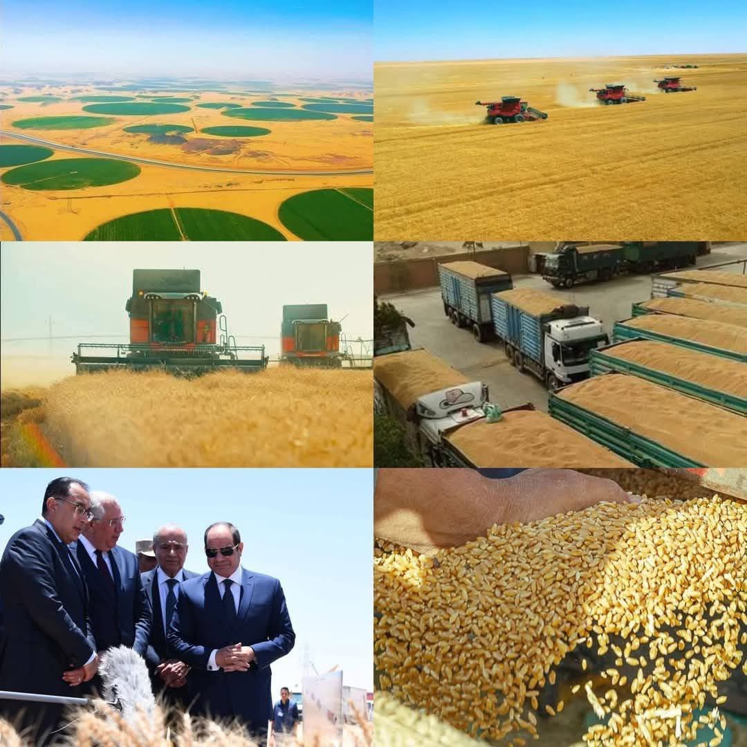 EslAm OthmAn🦅🇪🇬 tweet media