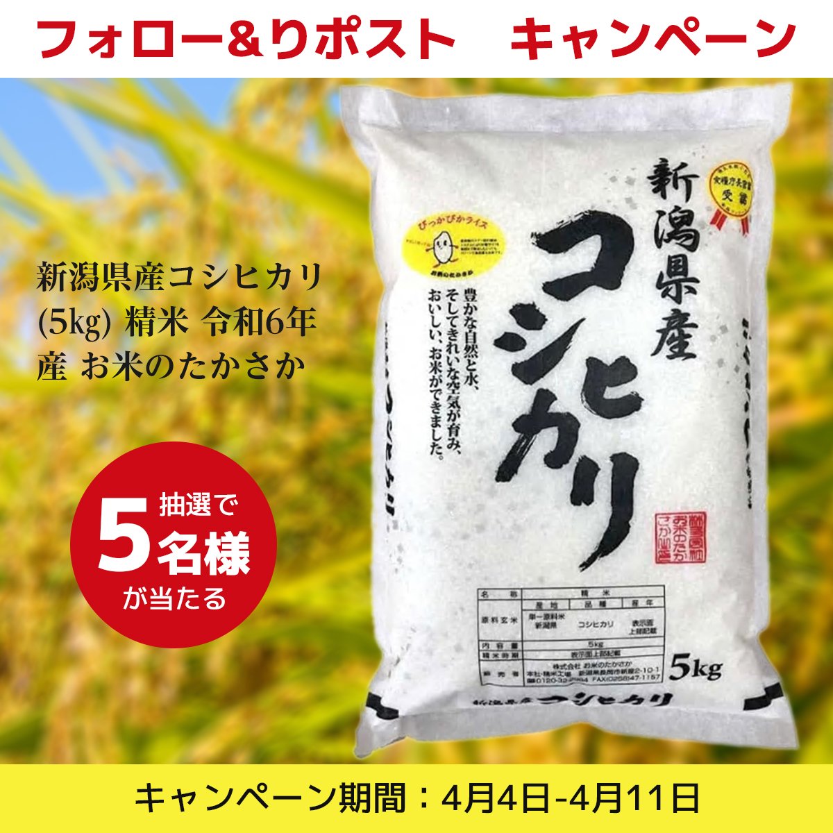 papiup0728's tweet photo. \\#プレゼント　キャンぺーン//

🍚#新潟県産コシヒカリ (5㎏) #精米 令和6年産 お米のたかさか

🍚#抽選で 　5⃣名様にプレゼント ‼️

🍚本日　5⃣日目‼️

🍚【応募方法】 
①@papiup0728をフォロー 
②この投稿をリツイー
締切:4・11
#プレゼント企画 #キャンぺーン  #その場で当たる https://t.co/bJFNOFriws